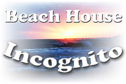 incognito_logo