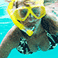 snorkeling